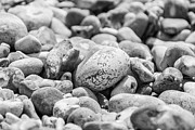 Pebbles on the beach Photograph by Francisco Ruiz Navas Pebbles on the beach Photograph by Francisco Ruiz Navas