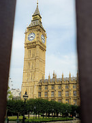 Peering Through the Fence Photograph by Andrea Whitaker Peering Through the Fence Photograph by Andrea Whitaker