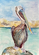 Pelican #1 Painting by Mafalda Cento