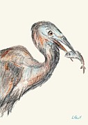 Pelican Sushi Bar Drawing by Lawrence Paull