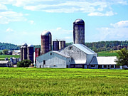 Pennsylvania Farm With Silos Photograph by Susan Savad Pennsylvania Farm With Silos Photograph by Susan Savad