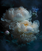 Peonies Opalescent Digital Art by Shanina Conway Peonies Opalescent Digital Art by Shanina Conway