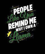 People Like You Remind Me Why I Own a Llama Digital Art by Jacob Zelazny