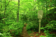 Peru Wilderness of The Green Mountains Photograph by Raymond Salani III Peru Wilderness of The Green Mountains Photograph by Raymond Salani III