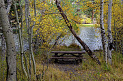 Picnic Area on Silver Lake Photograph by Bonnie Colgan Picnic Area on Silver Lake Photograph by Bonnie Colgan