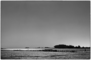 Pier to Peer Photograph by Jon Exley