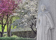 Pilgrim Mother  Photograph by Janice Drew