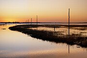 Pilgrim's Way Dawn 2 Photograph by Janet Burdon