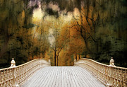 Pine Bank Arch in Autumn Photograph by Jessica Jenney