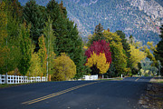 Pine Valley Road Photograph by Dave Diegelman Pine Valley Road Photograph by Dave Diegelman
