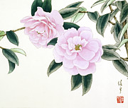 Pink Camellias V Painting by Ren Yu Pink Camellias V Painting by Ren Yu