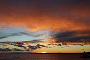 Pink Clouds Photograph by Andrea Whitaker Pink Clouds Photograph by Andrea Whitaker