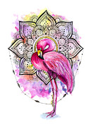 Pink Flamingo Watercolor Painting by Matthias Hauser