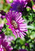 Pink Mum Digital Art by Vallee Johnson