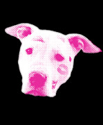 Pink Pitbull Head Digital Art by Flippin Sweet Gear