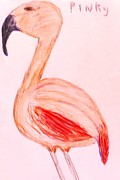 Pinky Tampa's Famous Flamingo Drawing by Suzanne Berthier