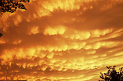 Plainview Mammatus Photograph by Scott Cordell