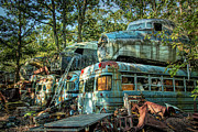 Plane and Bus Graveyard Photograph by Kristia Adams