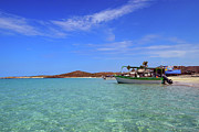 Playa Tecolote Photograph by William Scott Koenig