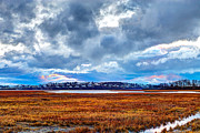 Plum Island Skies Photograph by Adam Green Plum Island Skies Photograph by Adam Green