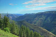 Pole Patch Canyon Photograph by Loyd Towe Photography Pole Patch Canyon Photograph by Loyd Towe Photography