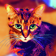 pOpCat Sissy Painting by DC Langer