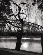 Portland Photograph by Charlene Mitchell Portland Photograph by Charlene Mitchell