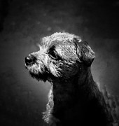 Posing Photograph by Mark Egerton
