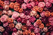 Premium Flowers Wall Background With Amazing Roses Painting by N Akkash
