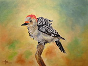 Pretty Woodpecker Painting by Angeles M Pomata Pretty Woodpecker Painting by Angeles M Pomata