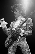 Prince Close-Up Photograph by Dmi