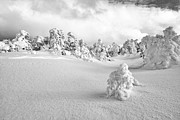 Pristine Wonderland Photograph by Jeff Sinon Pristine Wonderland Photograph by Jeff Sinon