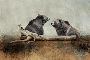 Private Conversation Photograph by Jai Johnson