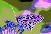 Psychedelic BF Gulf Fritillary18B Photograph by Sally Fuller
