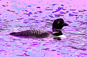 Psychedelic Loon 8B Photograph by Sally Fuller