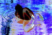 Psychedelic Swan 1B Photograph by Sally Fuller