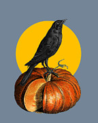Pumpkin Halloween Crow  Digital Art by Madame Memento