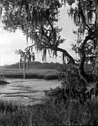 Pumpkin Hill Preserve, 2004 Photograph by John Simmons