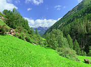 Pure Mountain Valley Photograph by Bumsable