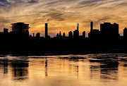 Purple and Gold sunset Photograph by Cate Franklyn