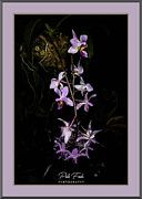 Purple Orchid Photograph by Pete Federico