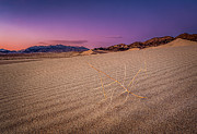 Purple Sunset Ibex Dunes Photograph by David Downs Purple Sunset Ibex Dunes Photograph by David Downs