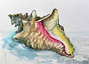 Queen Conch Painting by Mafalda Cento