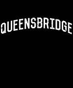 Queensbridge NY Digital Art by Flippin Sweet Gear