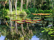 Quiet Garden Photograph by Tony Locke