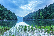 Blue Dawn Photograph by Ed Newell