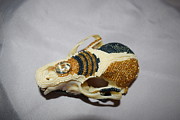 Raccoon Skull Mixed Media by Charla Van Vlack