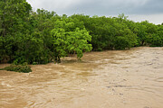 Raging Currents - The Force of Floodwaters in Texas Hill Country Photograph by Brigitte Blanchette Thompson Raging Currents - The Force of Floodwaters in Texas Hill Country Photograph by Brigitte Blanchette Thompson