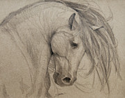 Rain Shadow - Grey Version Drawing by Jani Freimann