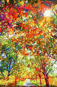 Rainbow Forest Light Painting by Dan Sproul Rainbow Forest Light Painting by Dan Sproul